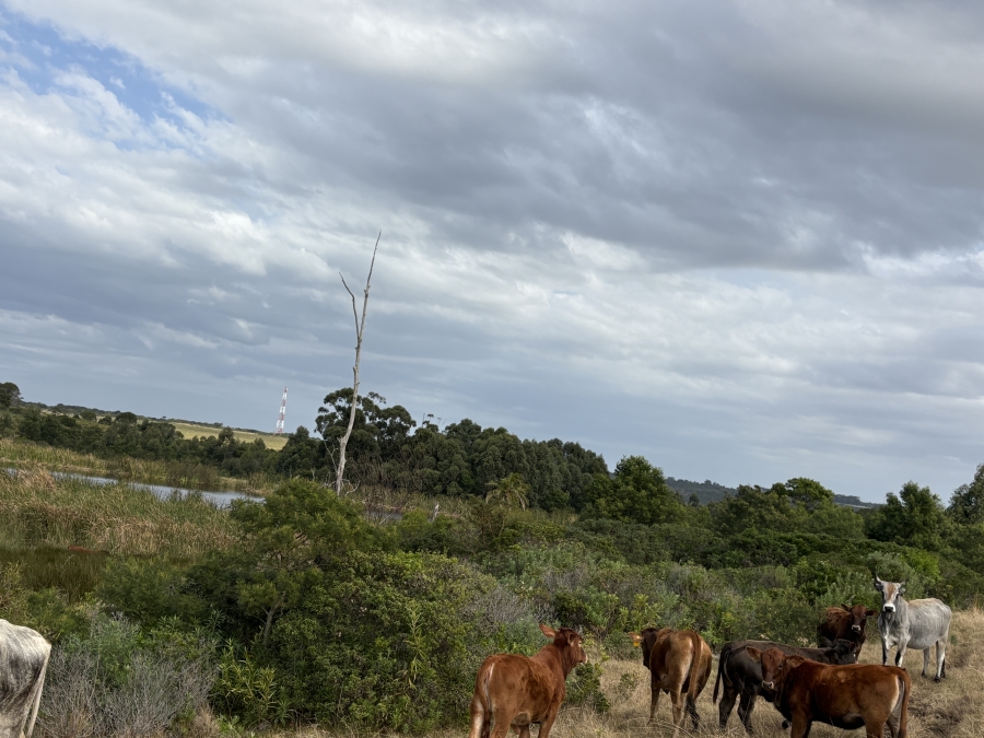 3 Bedroom Property for Sale in Kidds Beach Eastern Cape